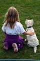 Dog show 4